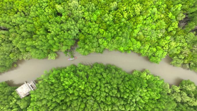 深绿色的森林和河流鸟瞰图。丰富的雨林自然生态系统。保护天然林的概念