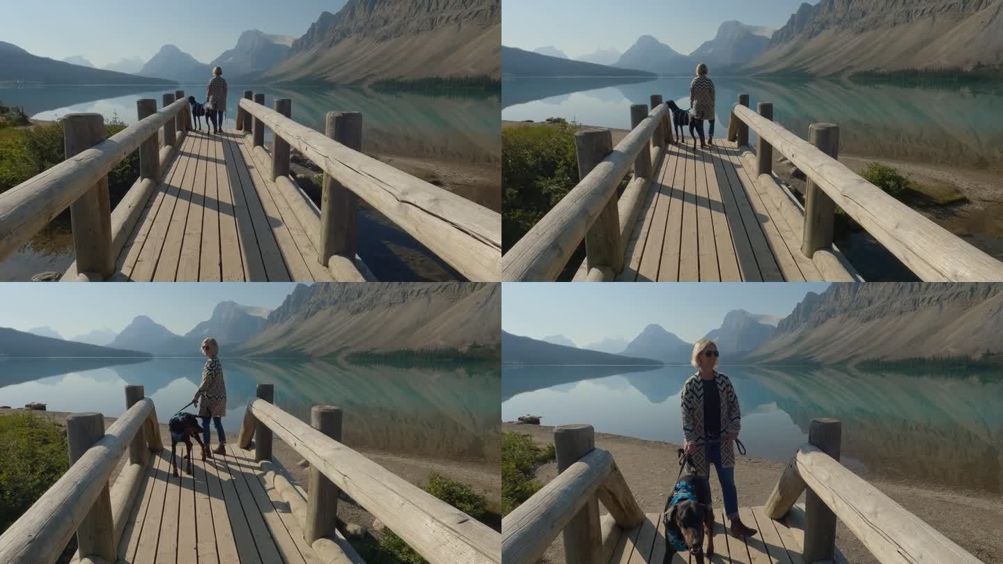 一个女人牵着狗绳在湖边的桥上遛狗