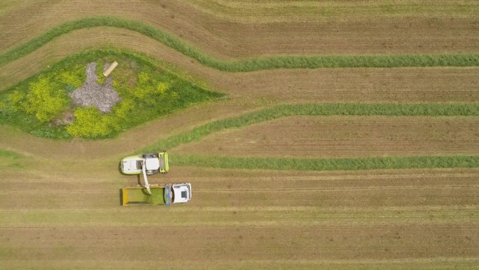以色列基布兹萨尔，在行动中的农业机械鸟瞰图。