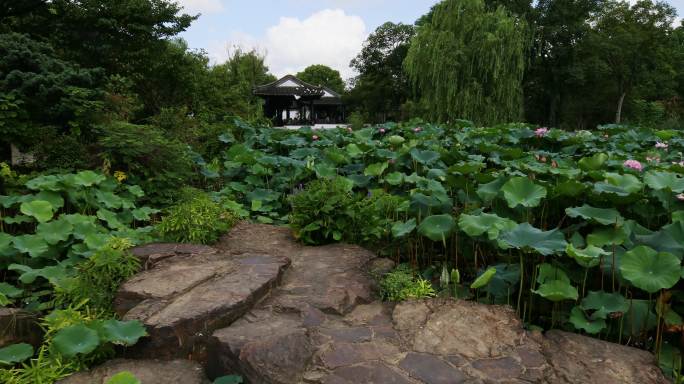 虎丘山风景名胜区