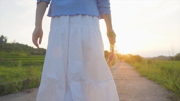 女生手拿薰衣草逆光慢步脚步特写浪漫爱情