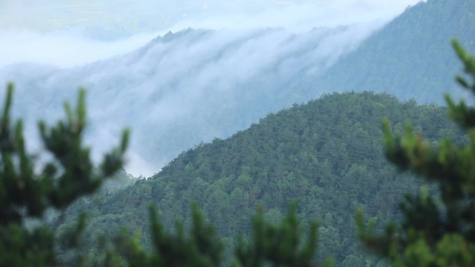 X浙江泰顺乌岩岭白云尖山间云海