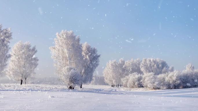 沁园春 雪 配乐诗朗诵