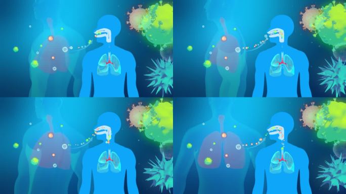 病毒入侵人体支气管肺