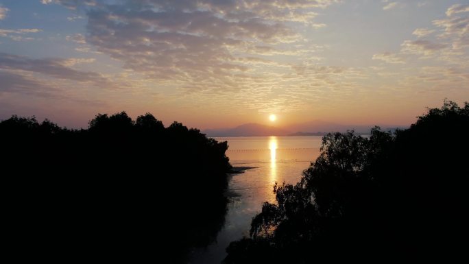 深圳湾 大桥 日出