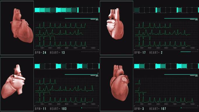 人类心脏扫描动画。心脏解剖与未来的界面。医院的研究。未来的高科技屏幕。全息医疗应用界面。无缝循环。