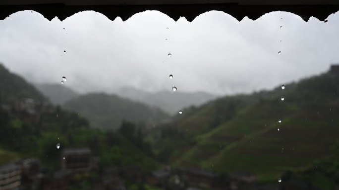 桂林龙脊梯田雨滴对焦