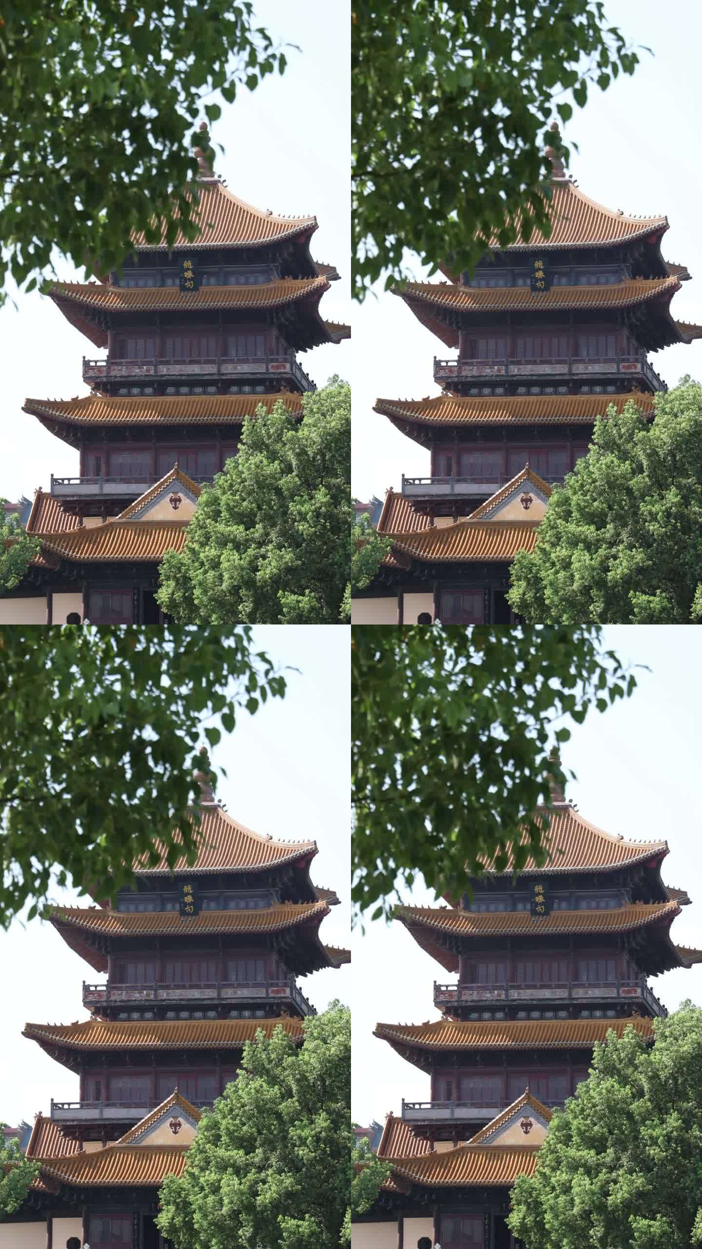 龙珠阁 竖屏