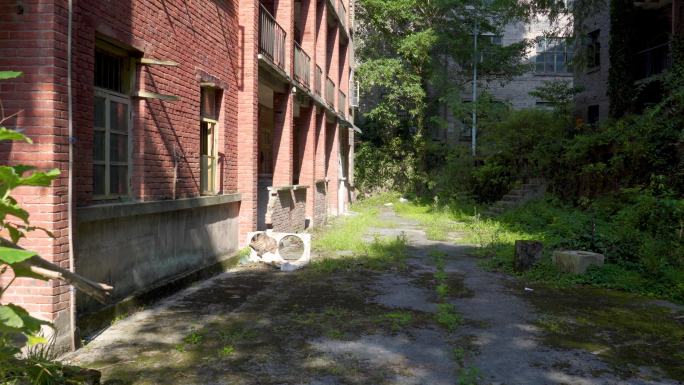 老旧小区 家属院 光影意境4K