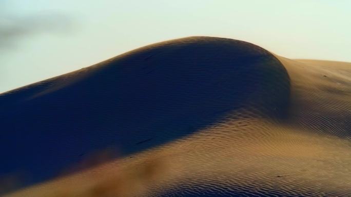 4K沙漠中的植物随风而起的沙子