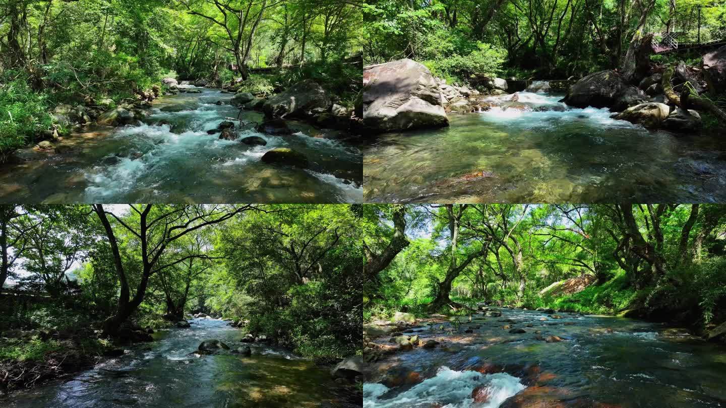 山间溪流 大自然小溪溪水森林水源溪流航拍