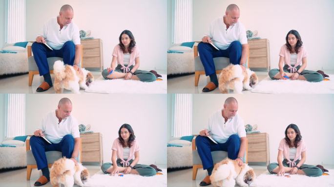 老人和他的孙女与可爱的狗玩耍