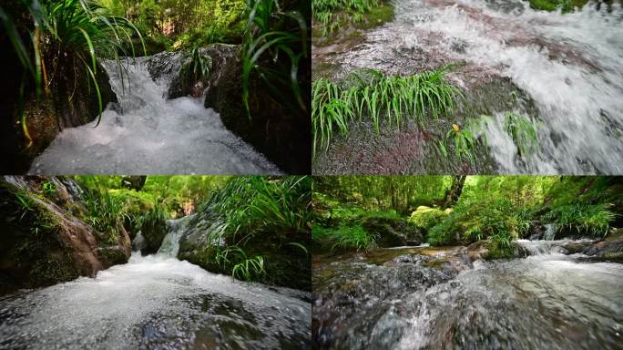 唯美溪流小溪流水原始生态清澈山泉视频素材