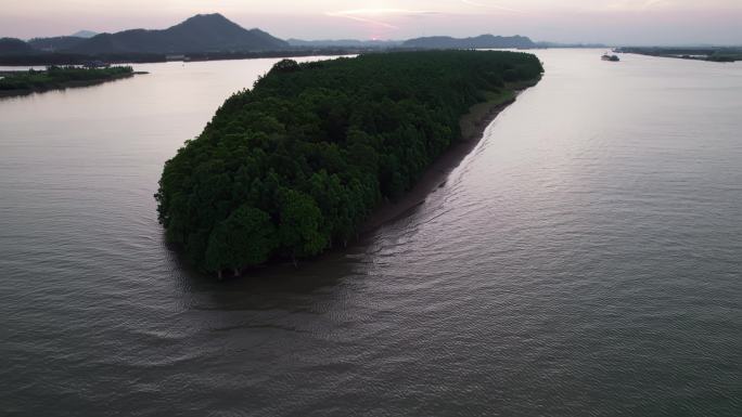 广东珠海斗门水松林自然保护区航拍