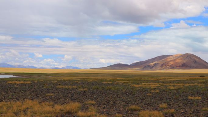 西藏 阿里 草原
