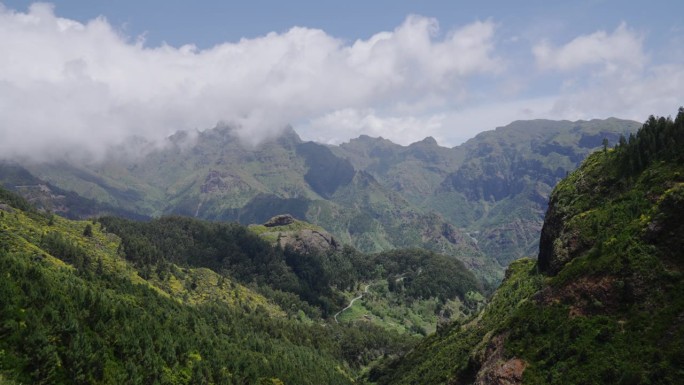 青翠的山峰，郁郁葱葱的树叶