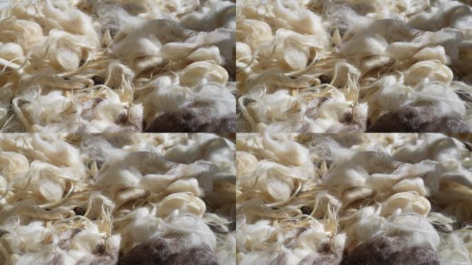 洗过的羊毛用来做枕头和羽绒被
