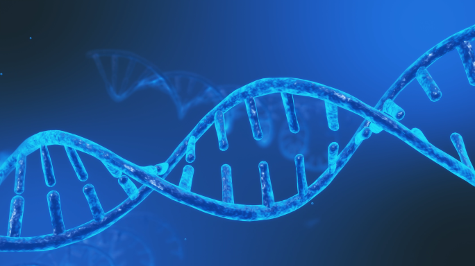 蓝色DNA链 三维变换
