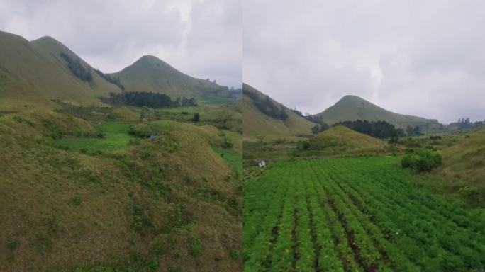 垂直视频4k。男性耐力摩托车手凝视高山丘陵山谷