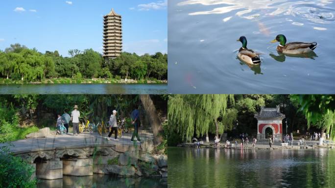 北京大学未明湖畔