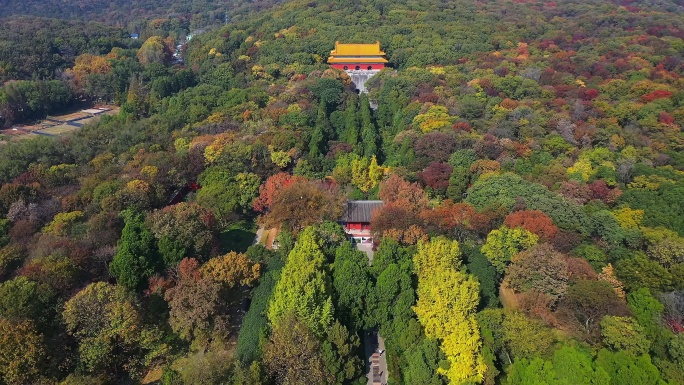 【4K】南京城市航拍明孝陵