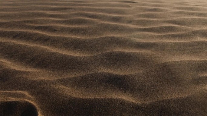 阳光闪闪的沙子在沙漠的风吹