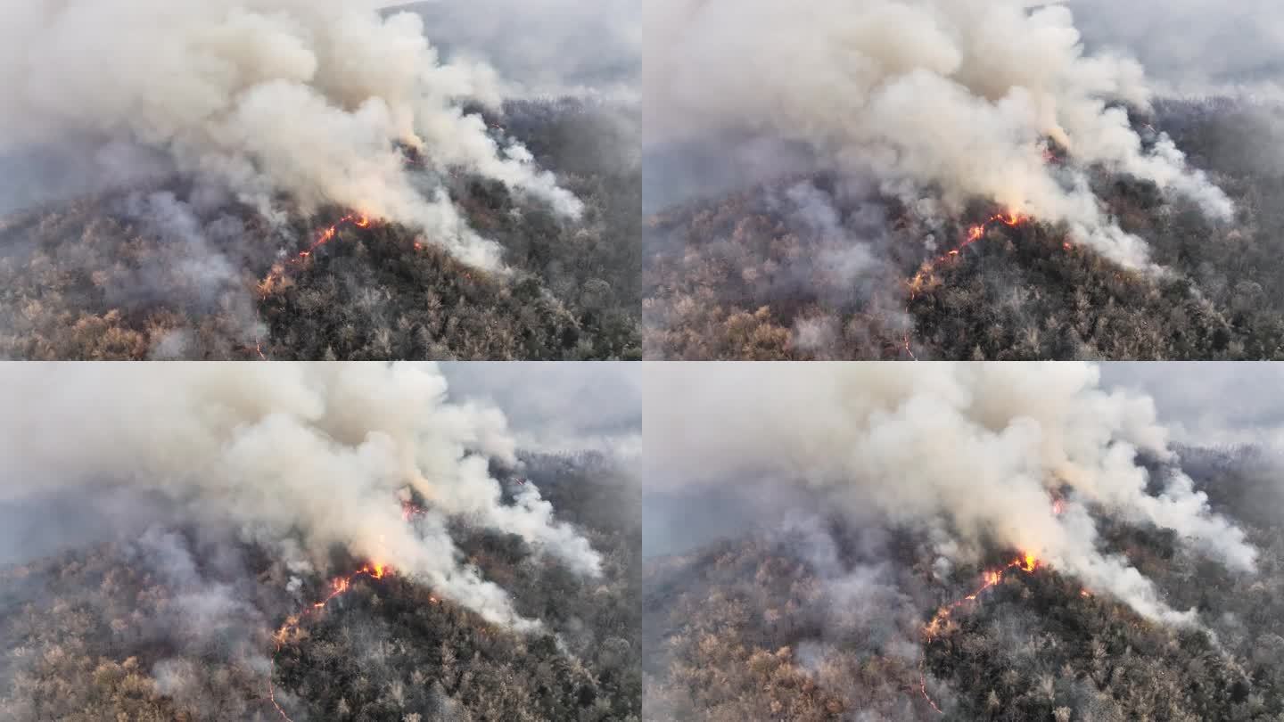 气候变化:野火释放的二氧化碳(CO2)和其他温室气体(GHG)导致气候变化和全球变暖。