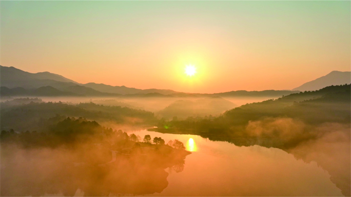 大自然 森林 山水 空气 日出合集视频