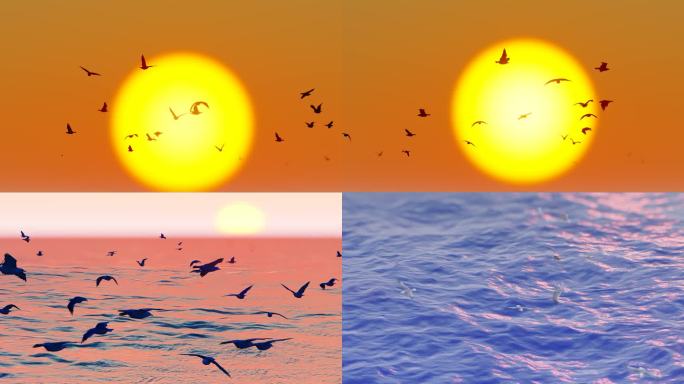 海面夕阳下飞舞的海鸥群慢动作
