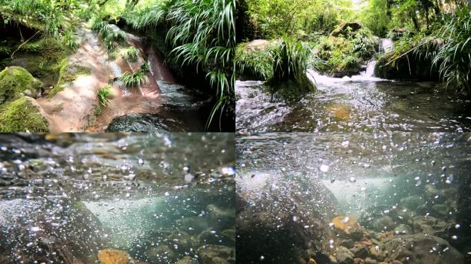 原始森林自然风景小溪清泉幽静山泉视频素材