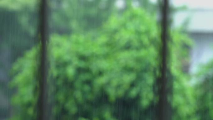 夏季窗外暴雨大雨下雨
