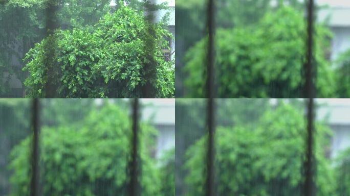 夏季窗外暴雨大雨下雨