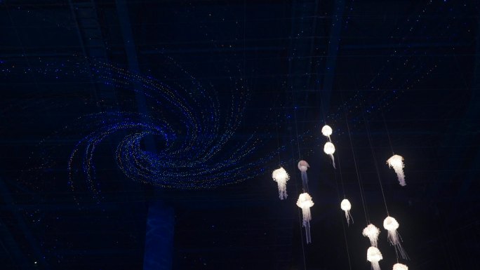 水母装饰灯和顶部装饰灯