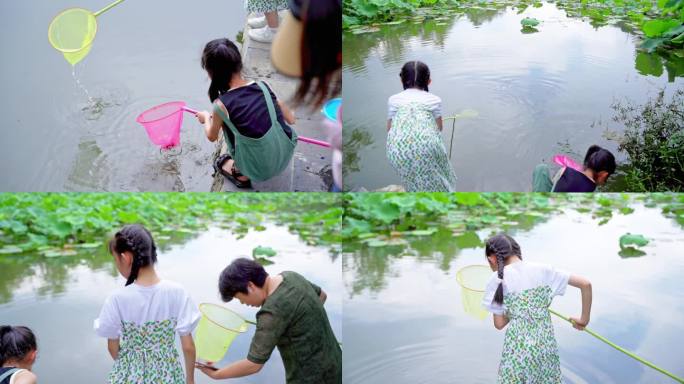 夏天女孩一家人玩水捞鱼快乐童年幸福童年