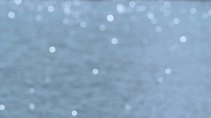 波光粼粼的画面鸭子戏水