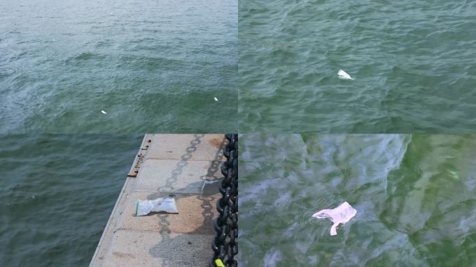 青岛栈桥海里的垃圾