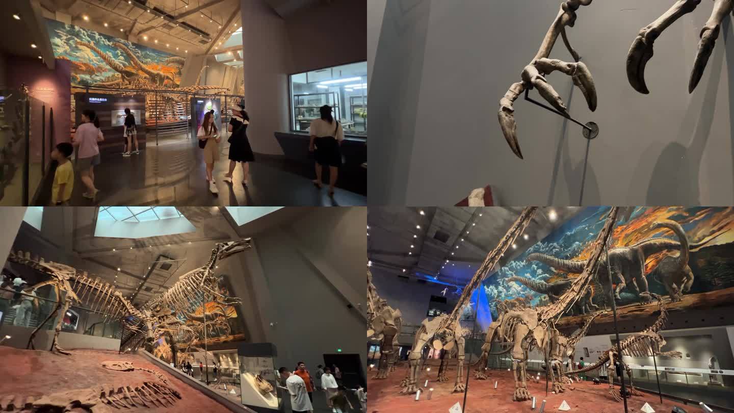 恐龙化石博物馆4K