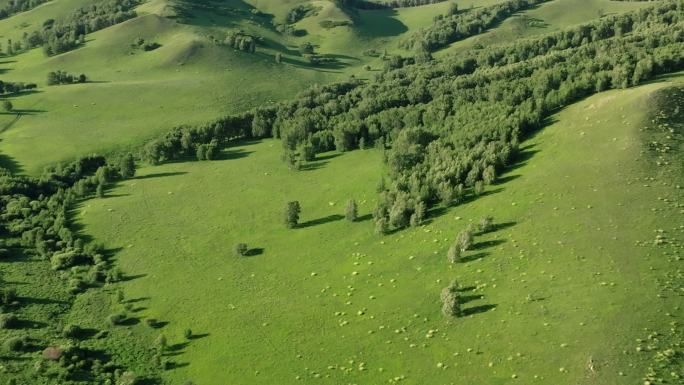内蒙古乌兰布统大草原