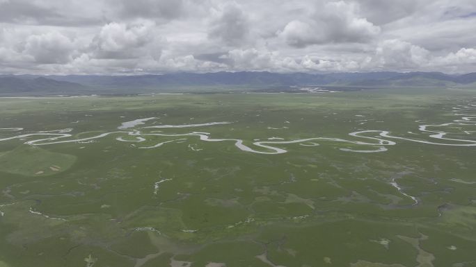 航拍视角甘南藏族自治州玛曲县阿万仓湿地