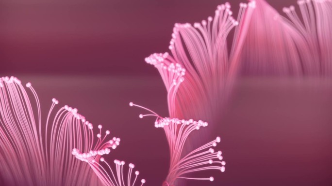 美丽的抽象数字动画的彩色图案交织生长的粉红色样条。高清三维渲染图