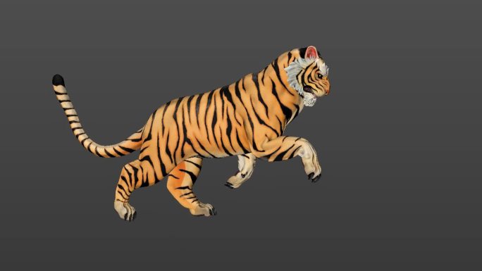 老虎奔跑循环绑定骨骼动画