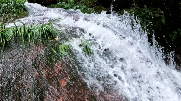 原始森林自然风景小溪清泉幽静山泉视频素材