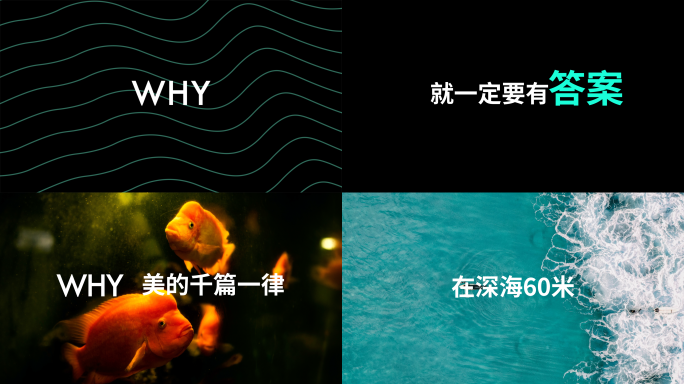 图文快闪