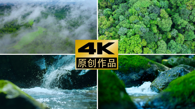 4k森林云雾山山川山水河流意境自然风光