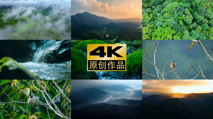 4k森林云雾山山川山水河流意境自然风光