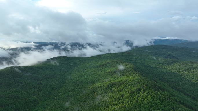 航拍大兴安岭山林云雾缭绕