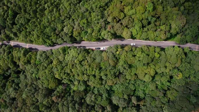 森林盘山公路航拍