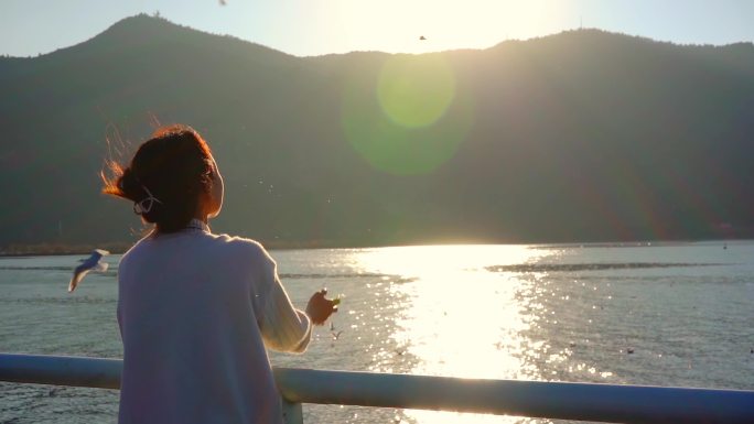 傍晚夕阳下滇池边喂海鸥的女孩人物背影