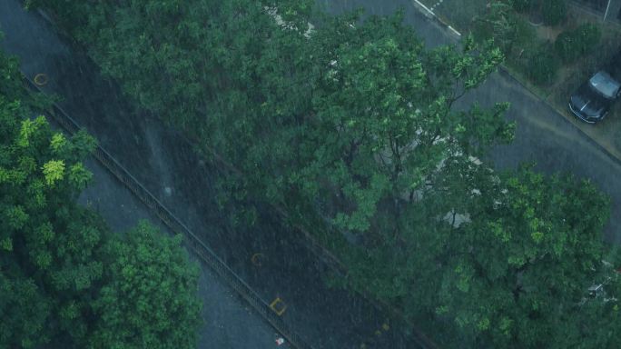 4K大风暴雨下雨强强降水风雨大作