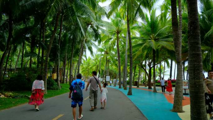 海南三亚旅游椰树椰林椰梦长廊景区林荫小路